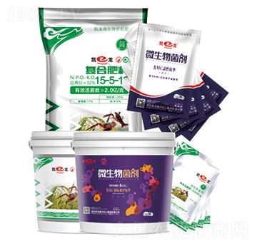 �r���ײ�-�P��-�P�����d