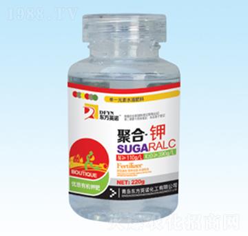 �ۺϡ��-�|��Ӣ�Z