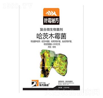 ����ľù��-�~ù�ط�-�|��Ӣ�Z