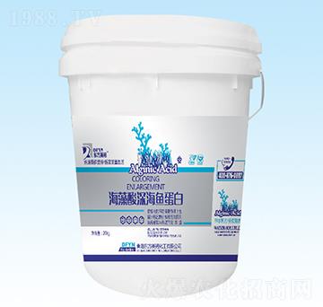 ��������~(y��)����-�|��Ӣ�Z