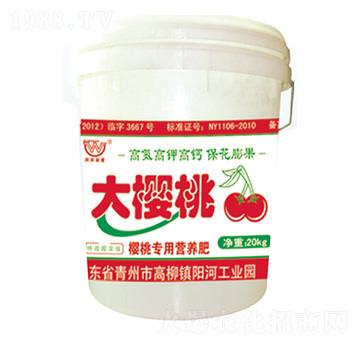 ���Ҍ��àI�B(y��ng)��-�����-�������