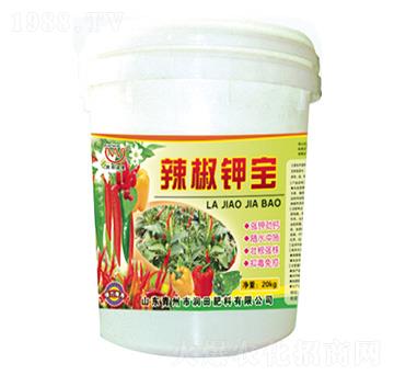 ����⛌�-�������