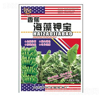 �㽶����⛌�-�������