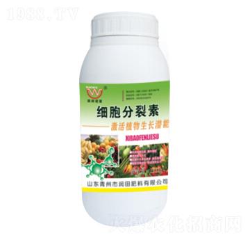 ƿ�b��(x��)��������-�������