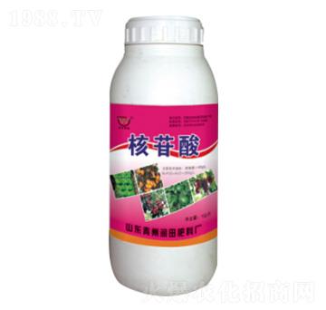 ƿ�b�������~���-�������