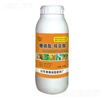 ����֬���������~���-�������