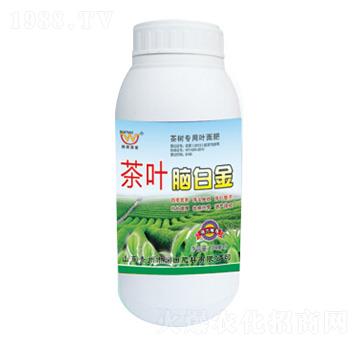 ƿ�b���~�X�׽�-�������