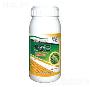 �S����-��(r��n)�����