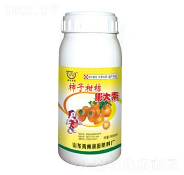 ���Ӹ��������-��(r��n)�����