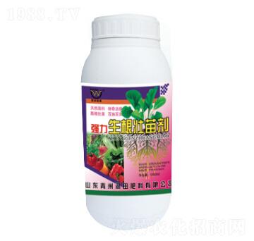 ƿ�b�����������焩-�������