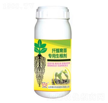 ���猣(zhu��n)��������-��(r��n)�����