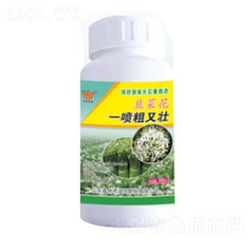 �²˻�һ�����։�-�������