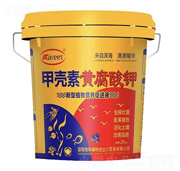 �ך����S�����-������