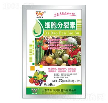 ����������A+B-�������