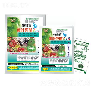 �S�~����A+B-�����-�������