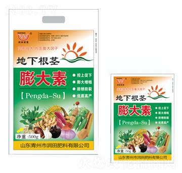 ���¸��o�����-�������