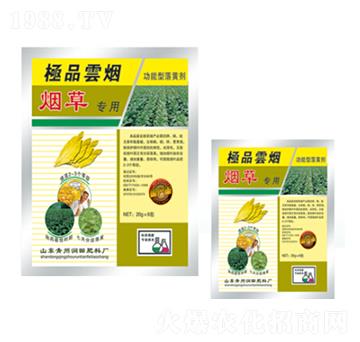 ���݌����~���-�Ɵ�-�������