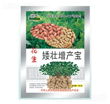 �����������a(ch��n)��-�������