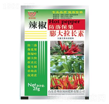 ����������L��-�������