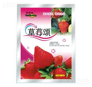 ��ݮ�-��(r��n)�����