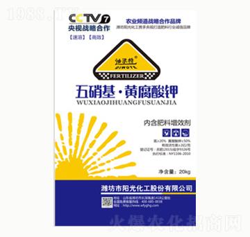 �������S�����-ꖹ⻯