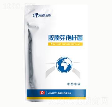 �z�|ѿ�ߗU��-�������