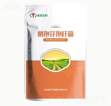 ����ѿ�ߗU��-�������