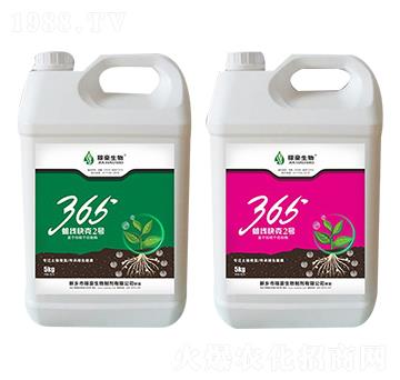 365�������2̖-�ں�����