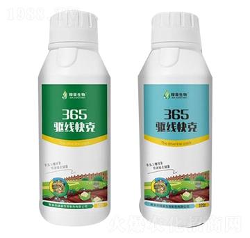 365�(q��)��(xi��n)���-�ں�����