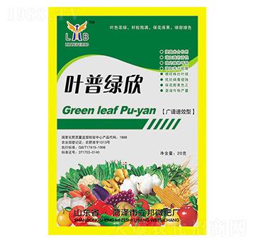 �~�վG��-��������