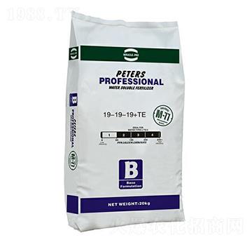 ��Ԫ��(f��)���x�ӷ�19-19-19+TE-��(y��u)�{��