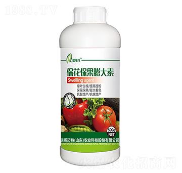 �������������-��ɵ�-���w�~��