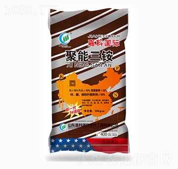 �������@-�ο�