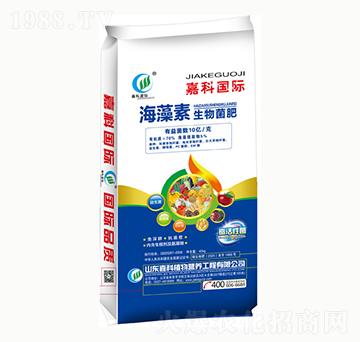 �������������-�ο�