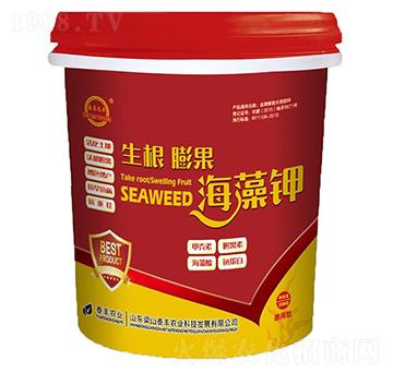 ������������-��ɽ̩�S