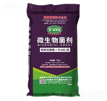 ΢�������-ֲ�S�r��