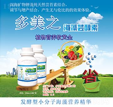 �����|����-����֮-������