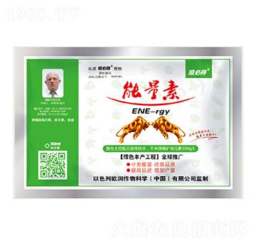 ������-�ú���-������