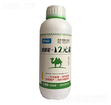 �G��-12Ԫ���~���-������