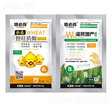 С����������-�ú���-������