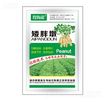 ���ֶ�-�ú���-������