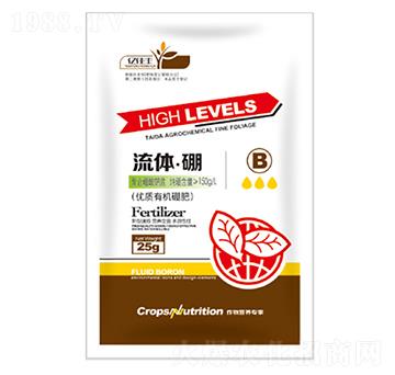 ���w����-�|���S