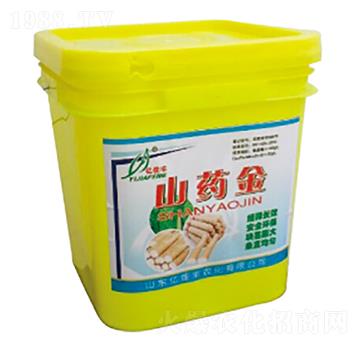 ɽˎ��-�|���S