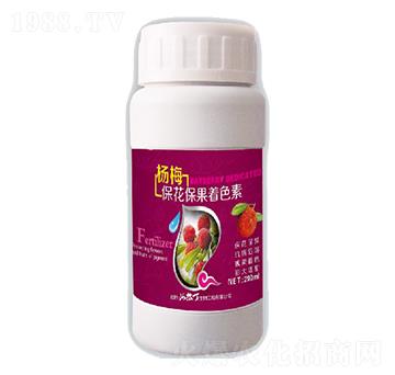 ��÷����������ɫ��-������