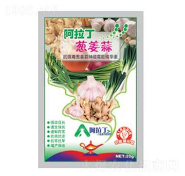 20g�[���⌣��-������