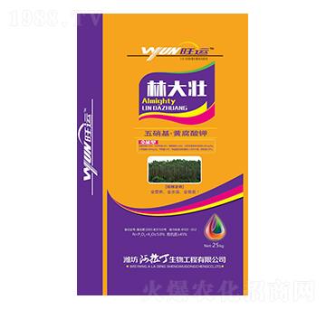 ���������S�����-�ִ��-������