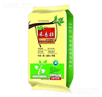 ���׉�15-5-20+TE-������