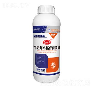 水稻育苗菌劑-苗老師-金必來(lái)生物