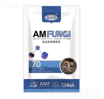 �������-��؁�(l��i)����