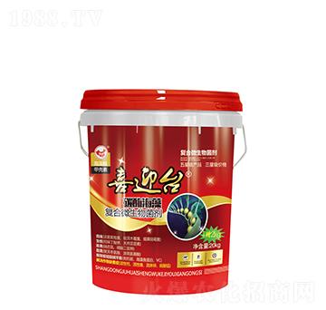 ̼ø�����(f��)��΢�������-ϲӭ�_(t��i)-ɽ�|�������